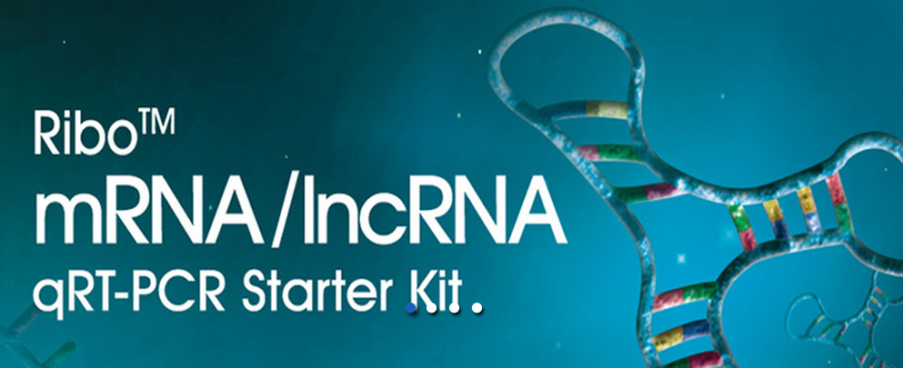 mRNA